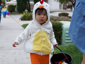 Halloween 2014